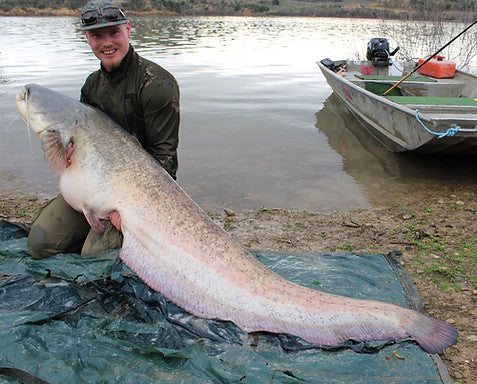 River Ebro fishing