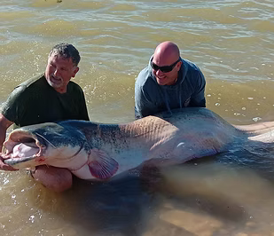 River Ebro fishing from the boat